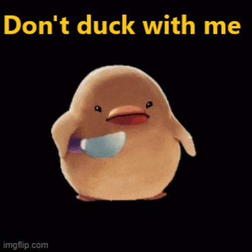Dont Duck With Me Duck GIF