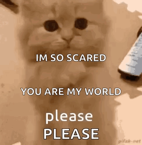 Don’t Make Me Beg GIF