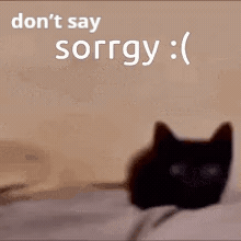 Dont Say GIF