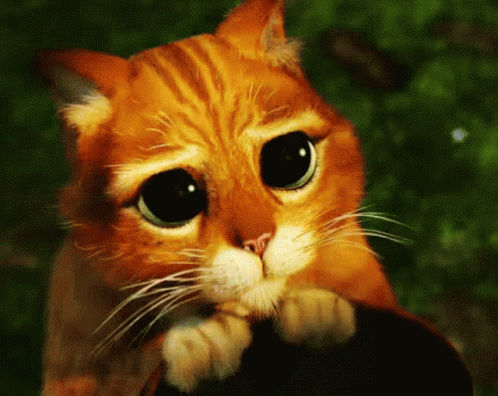 Dont You GIF