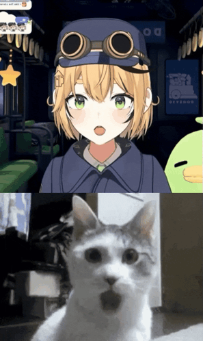 Dooby Cat Wow GIF