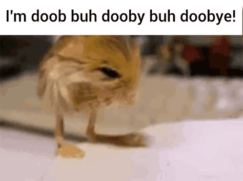 Dooby3d Roingus GIF
