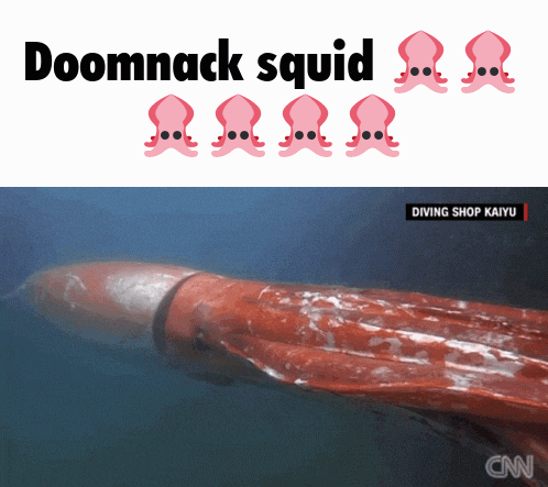 Doomnack Squid GIF