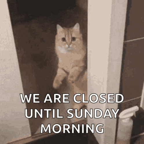 Door Hide GIF