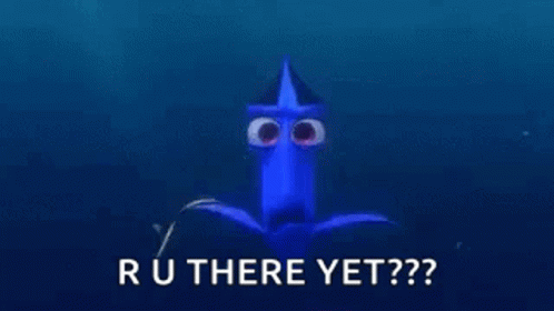 Dory Finding Dory GIF