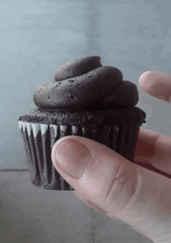 Double Chocolate Cupcake Cupcakes GIF