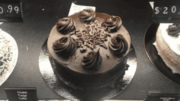 Double Fudge Cake Cakes GIF