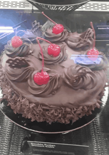 Double Fudge Cake Dessert GIF