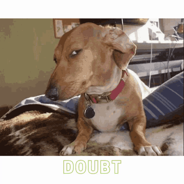 Doubtful GIF