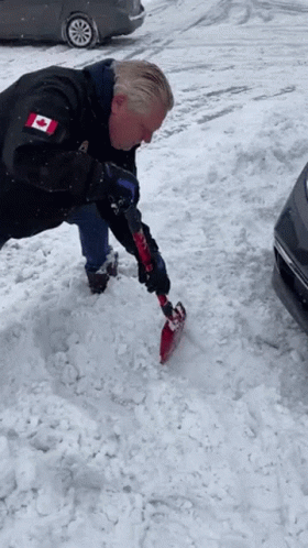 Doug Ford GIF