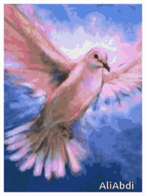 Dove GIF