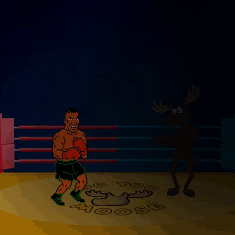 Doyoumoose Do-you-moose GIF