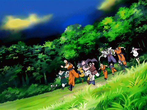 Dragon Ball Dragon Team GIF