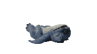 Dreaming Stitch Sticker