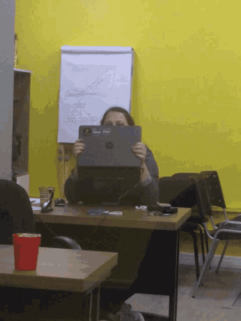 Dricapriori Hide Face GIF