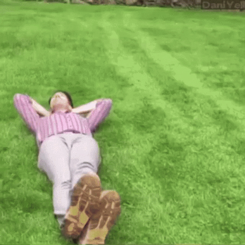 Drive Over Run Over GIF