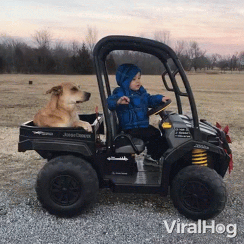 Driving Viralhog GIF