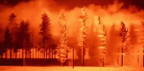 Droooing Bombs Destroyed The Bathroom GIF