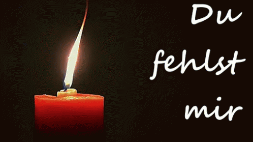 Du Fehlst Mir GIF
