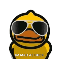Duck Angry GIF
