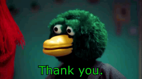 Duck Dhmis GIF