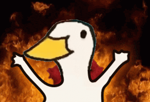Duck Ducks GIF