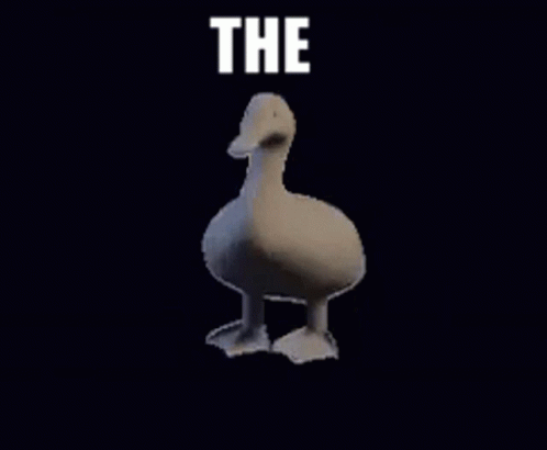 Duck Rotate GIF