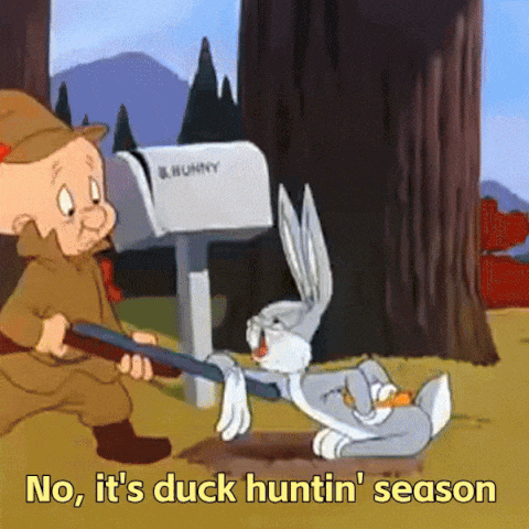 Duck Season Rabbit Season Looney Tunes Merry Melodies Bugs Bunny Wabbit Season GIF