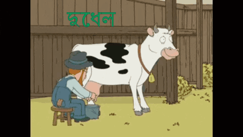 Dudhel Katuya GIF