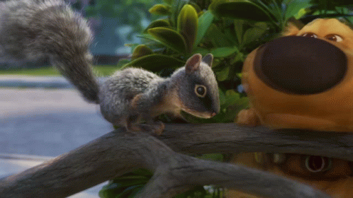 Dugdays Squirrel GIF