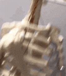Duh GIF