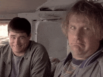 Dumb And Dumber Dumb And Dumber Gif GIF