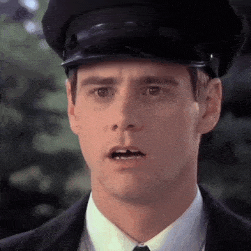 Dumb And Dumber Dumb And Dumber Gif GIF