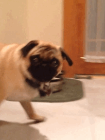 Dun Dun Dun! GIF