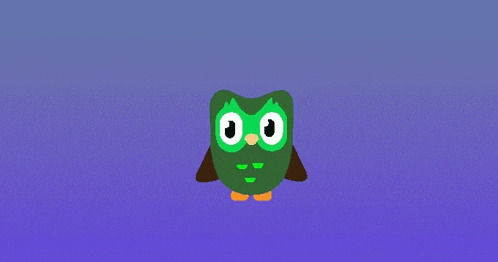 Duo Lingo Owl GIF