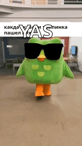 Duolingo GIF