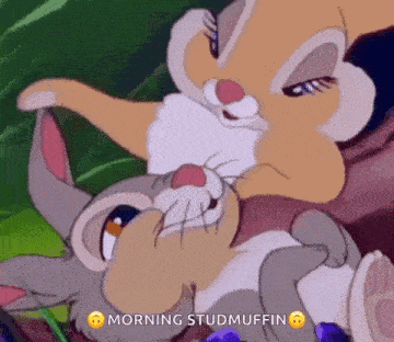 Ear Ears GIF