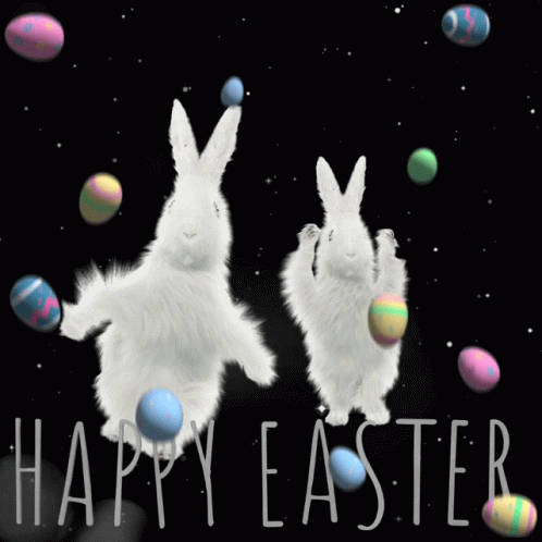 Easter Easter Bunny GIF