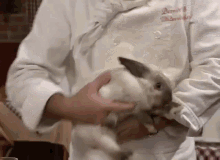 Easter Rabbit GIF