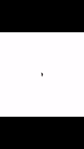 Echou Black Cat GIF