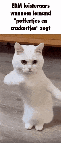 Edm Edm Fans GIF