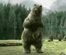 Eheum GIF