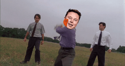 Elawni Elawni Memes GIF
