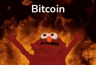 Elmo Bitcoin GIF