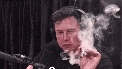 Elonmusk GIF