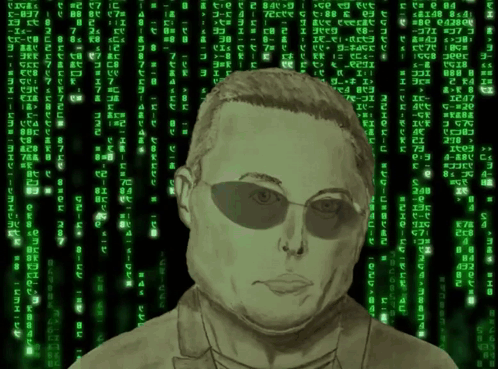 Elonrwa Rwaelon GIF