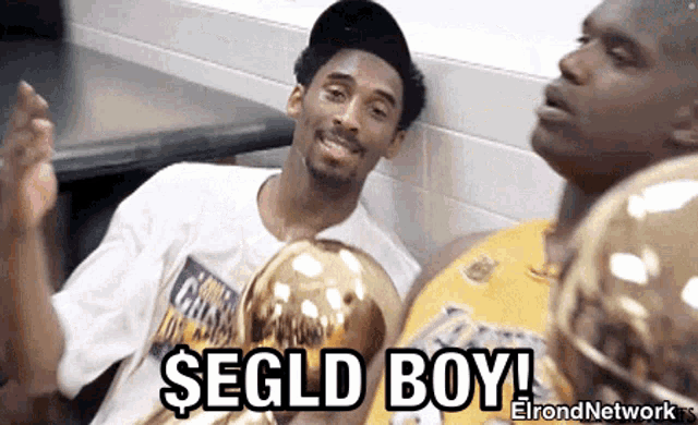 Elrond Network Egld GIF