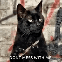 Emy Départ GIF