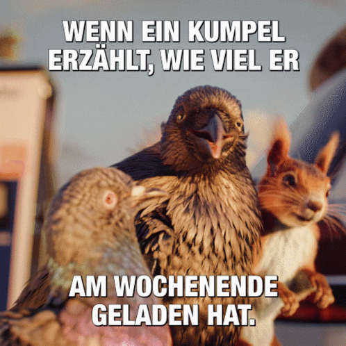 Enbw Birds GIF