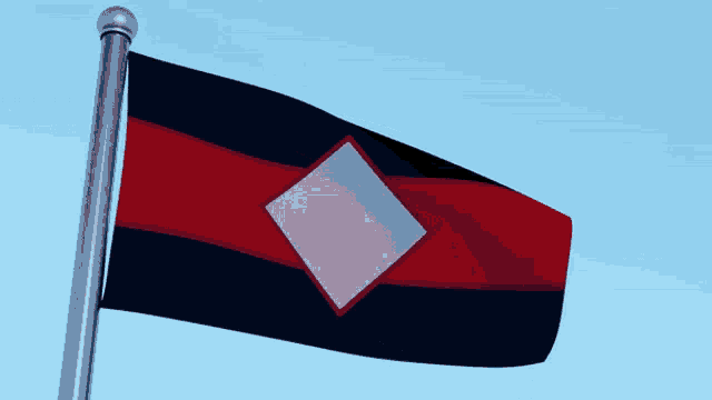 Enthiven Flag GIF